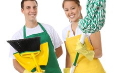 Domestic cleaners